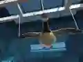 لعبة Goose Museum على الانترنت