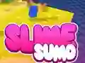 لعبة Sumo Slime 3D على الانترنت