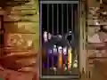 لعبة Hidden Cat Escape على الانترنت