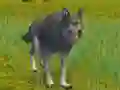 لعبة The Wolf: Wild Animal Simulator على الانترنت