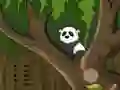لعبة Panda Jungle Escape على الانترنت