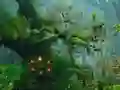 لعبة Innocent Sparrow Couple Escape على الانترنت