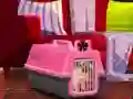 لعبة Escape The Small Pug على الانترنت