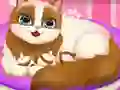 لعبة Cute Kitty Pregnant على الانترنت