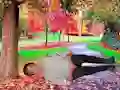 لعبة Rescue A Wounded Guy على الانترنت