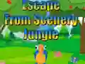 لعبة Escape from Scenery Jungle على الانترنت
