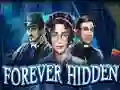 لعبة Forever Hidden على الانترنت