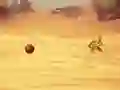 لعبة Monkey Shooting على الانترنت