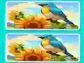 لعبة Spot the Difference The Garden على الانترنت