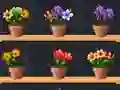لعبة Good Flower Master على الانترنت