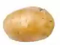 لعبة Potato على الانترنت