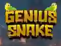 لعبة Genius Snake على الانترنت