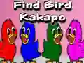 لعبة Find Bird Kakapo على الانترنت