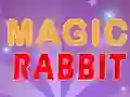 لعبة Magic Rabbit على الانترنت