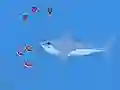 لعبة Oceans Shees على الانترنت