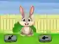 لعبة Springtime Escape على الانترنت