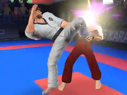 لعبة Karate Fighter على الانترنت