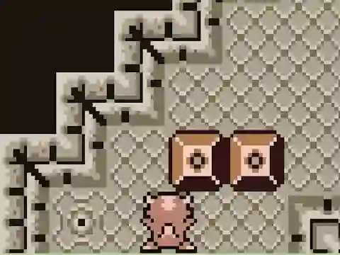 لعبة Sokoban Dragon على الانترنت