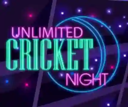 لعبة Unlimited Cricket Night على الانترنت