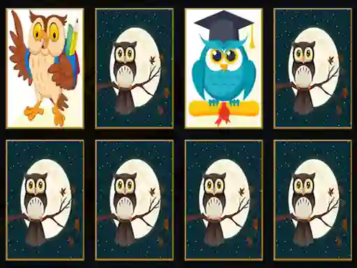 لعبة Cute Owl Memory على الانترنت