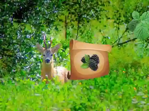 لعبة Return To Alsunga Forest على الانترنت