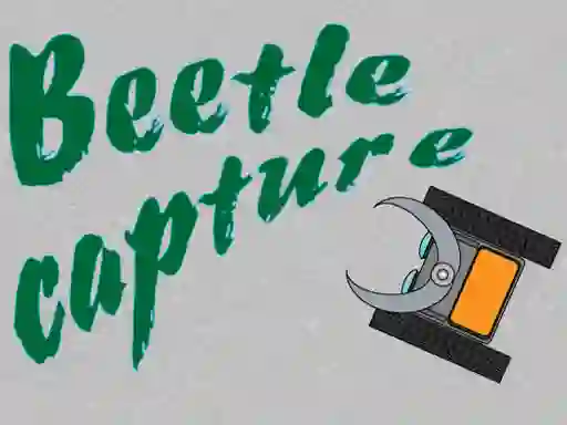 لعبة Beetle Capture على الانترنت