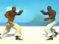 لعبة Capoeira fighter على الانترنت