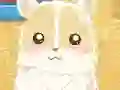 لعبة Hamster Love على الانترنت