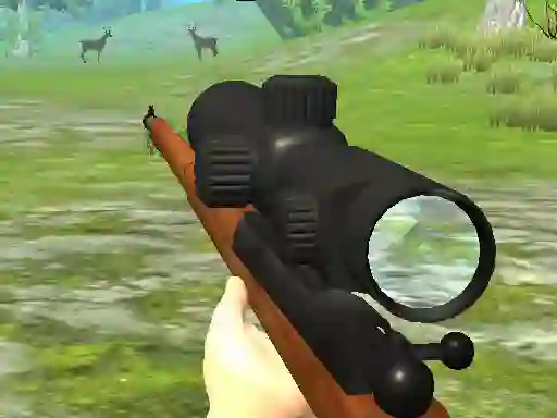 لعبة Hunter 3D على الانترنت