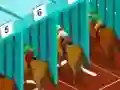 لعبة Derby racing على الانترنت