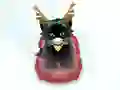 لعبة Pet Sledding على الانترنت