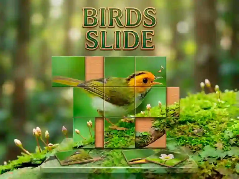 لعبة Birds Slide على الانترنت