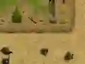 لعبة Ambush على الانترنت