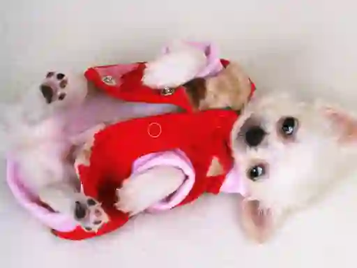 لعبة Lovely Puppy Slide على الانترنت