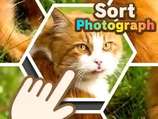 لعبة Sort Photograph على الانترنت