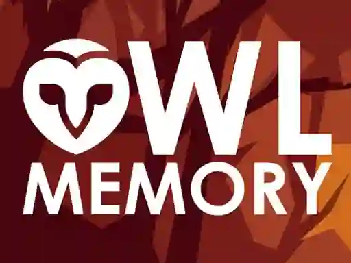 لعبة Owl Memory على الانترنت