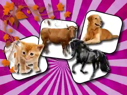 لعبة Domestic Animal Memory Challenge على الانترنت