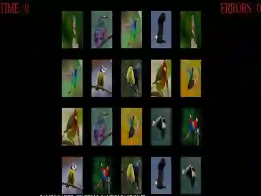 لعبة Memorize the birds على الانترنت