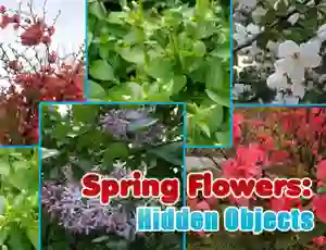 لعبة Spring Flowers: Hidden Objects على الانترنت