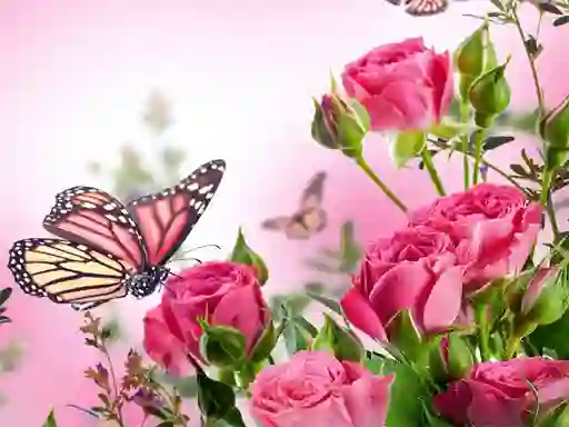 لعبة Butterflies Puzzle على الانترنت