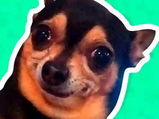 لعبة What meme dog are you ? على الانترنت