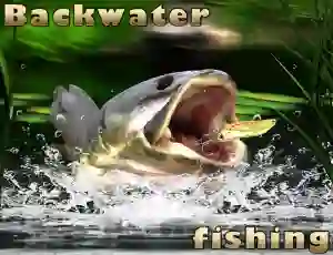 لعبة Backwater Fishing على الانترنت