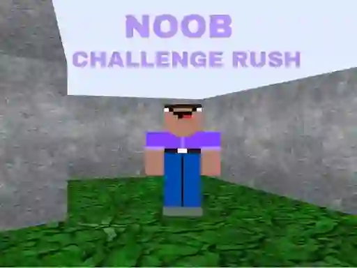 لعبة Noob Challenge Rush على الانترنت