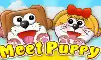 لعبة Meet Puppy على الانترنت