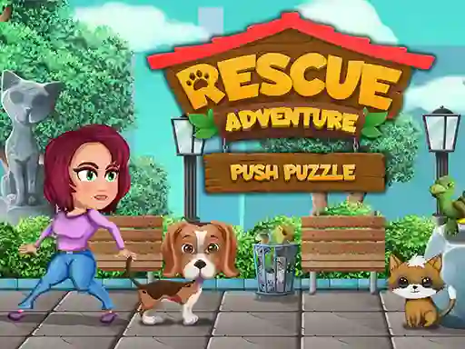 لعبة Rescue Adventure Push Puzzle على الانترنت
