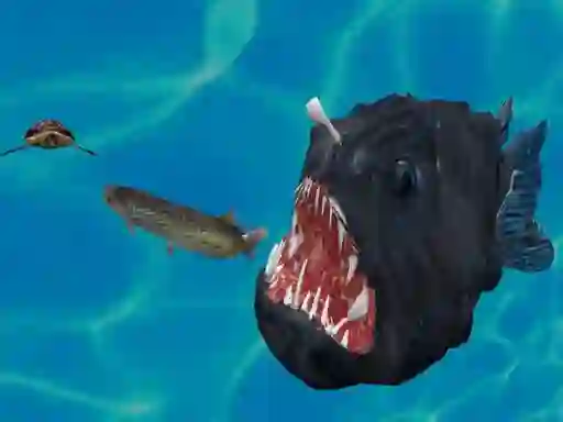 لعبة Fish 3d على الانترنت