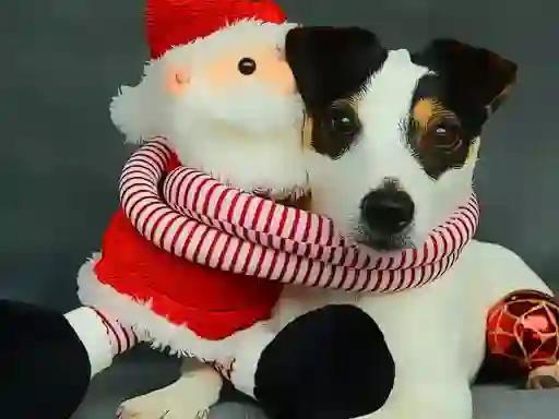 لعبة Funny Christmas Dogs على الانترنت