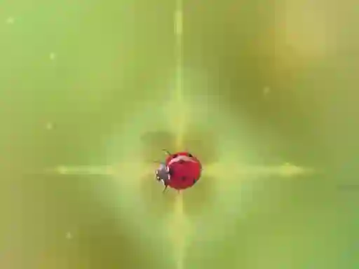 لعبة Pest Control على الانترنت