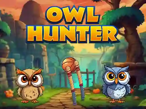 لعبة Owl Hunter على الانترنت