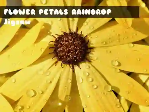 لعبة Flower Petals Raindrop Jigsaw على الانترنت